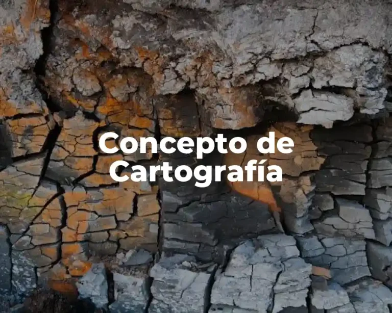 Concepto de Cartografía
