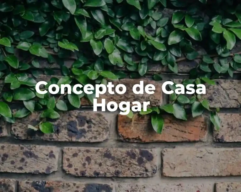 Concepto de Casa Hogar