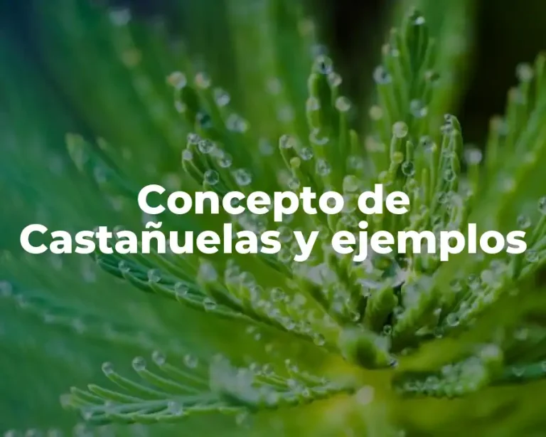 Concepto de Castañuelas y ejemplos