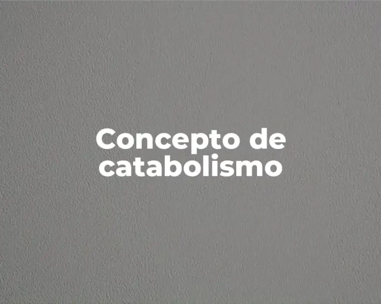 Concepto de catabolismo