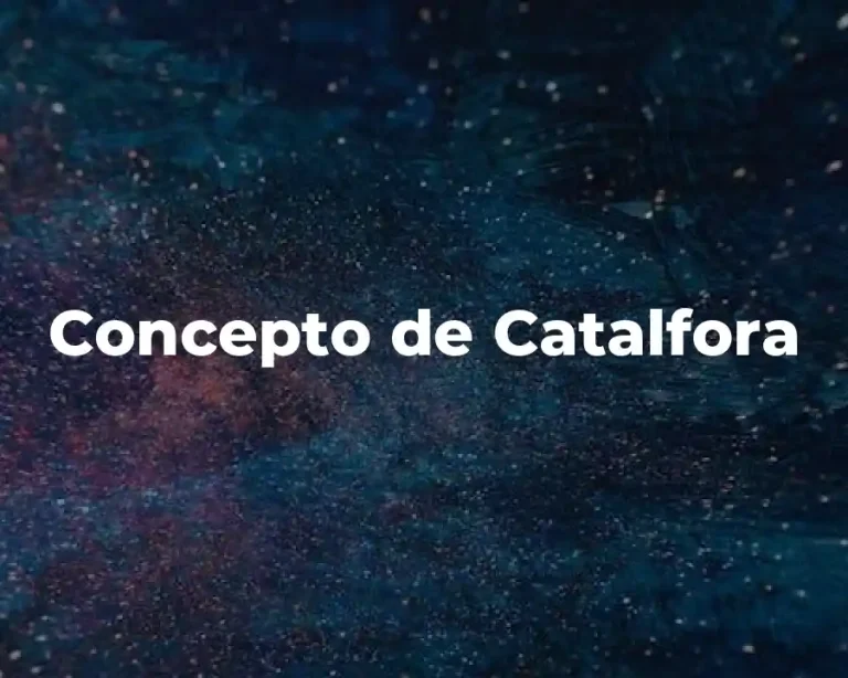 Concepto de Catalfora