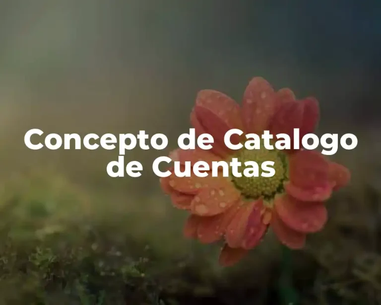 Concepto de Catalogo de Cuentas