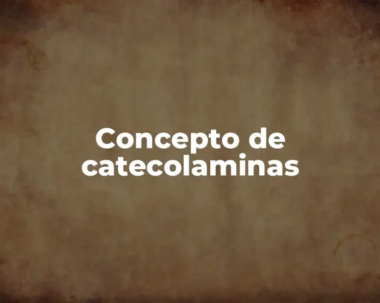 Concepto de catecolaminas