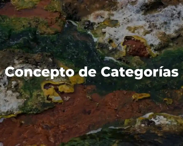 Concepto de Categorías
