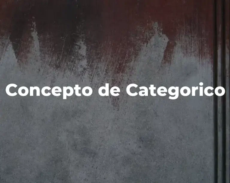 Concepto de Categorico