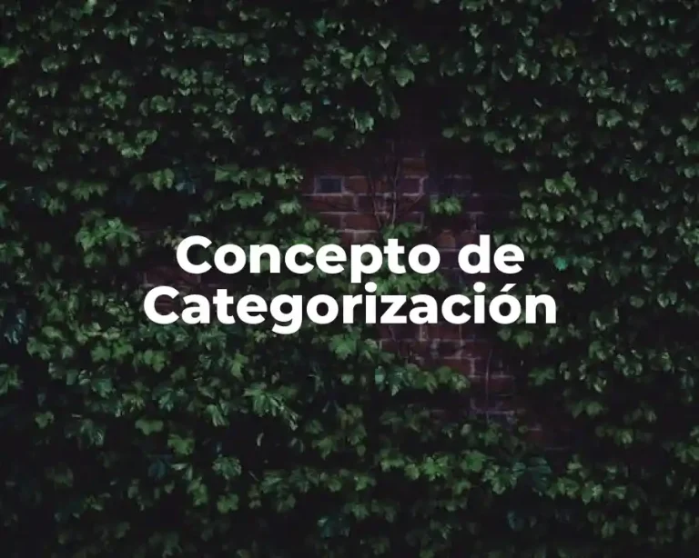 Concepto de Categorización