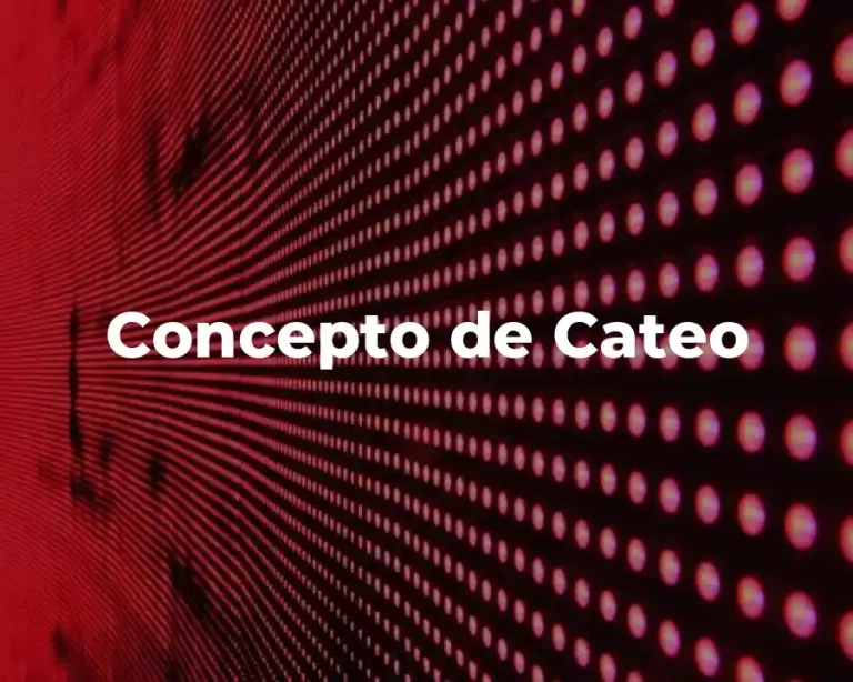 Concepto de Cateo