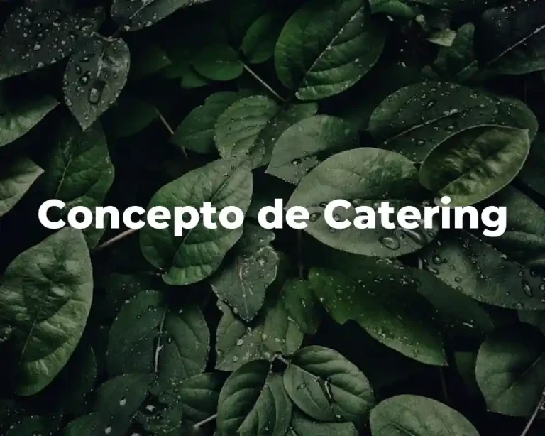 Concepto de Catering