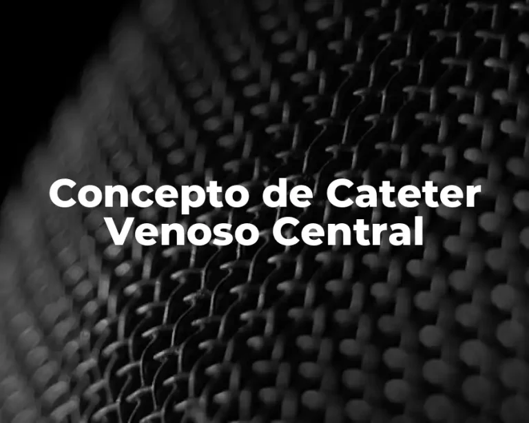 Concepto de Cateter Venoso Central