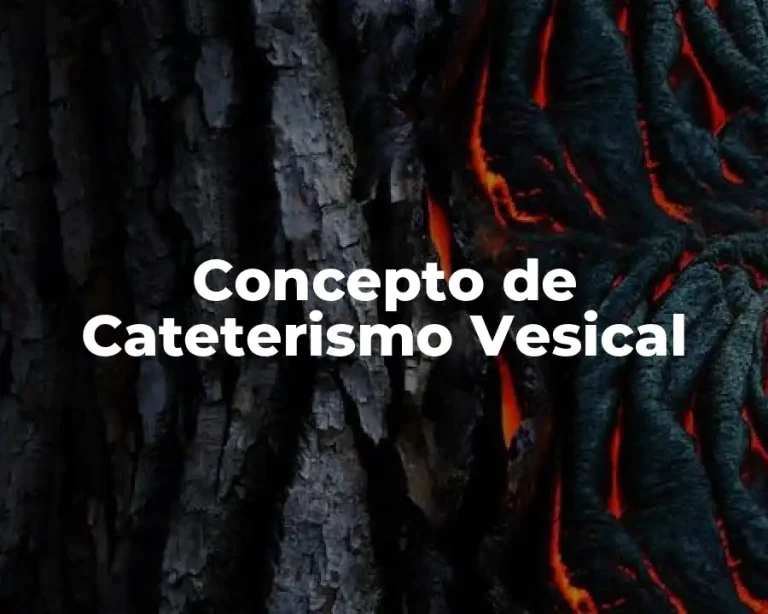 Concepto de Cateterismo Vesical