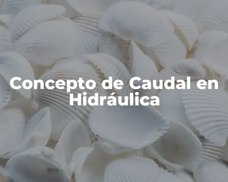 Concepto de Caudal en Hidráulica