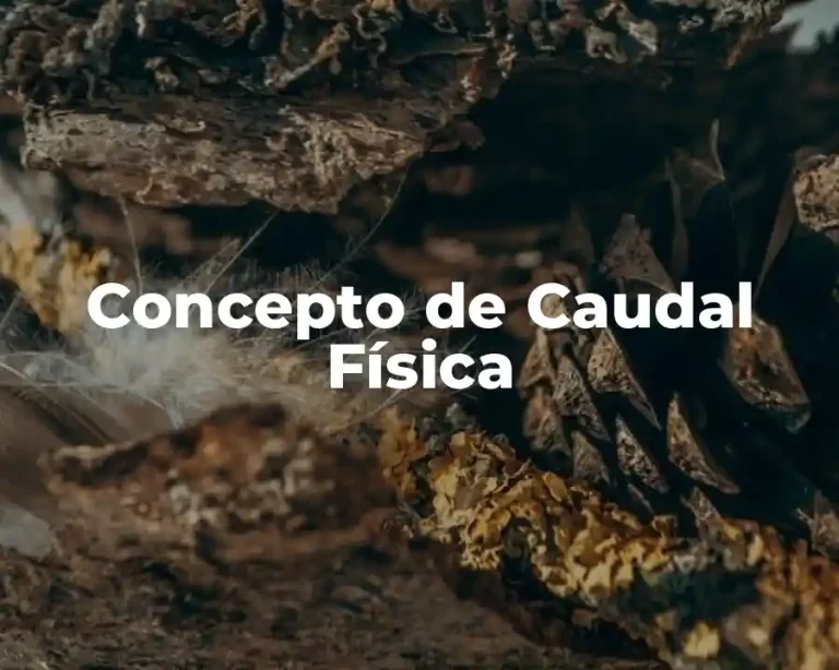 Concepto de Caudal Física