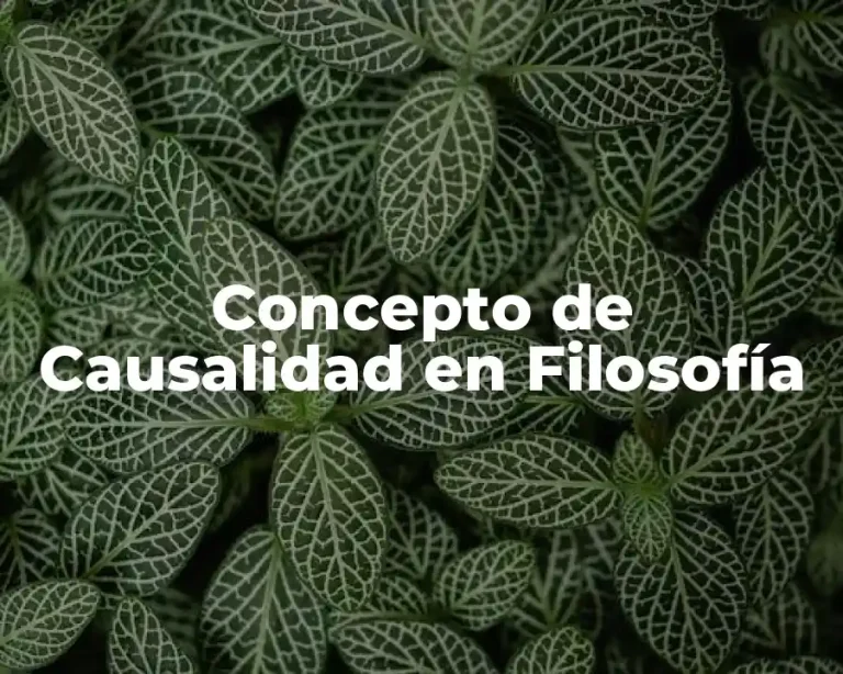 Concepto de Causalidad en Filosofía
