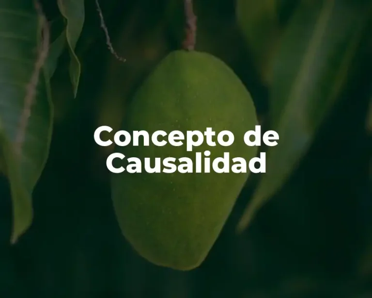 Concepto de Causalidad