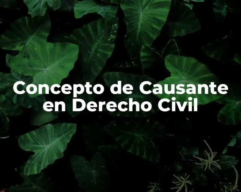 Concepto de Causante en Derecho Civil
