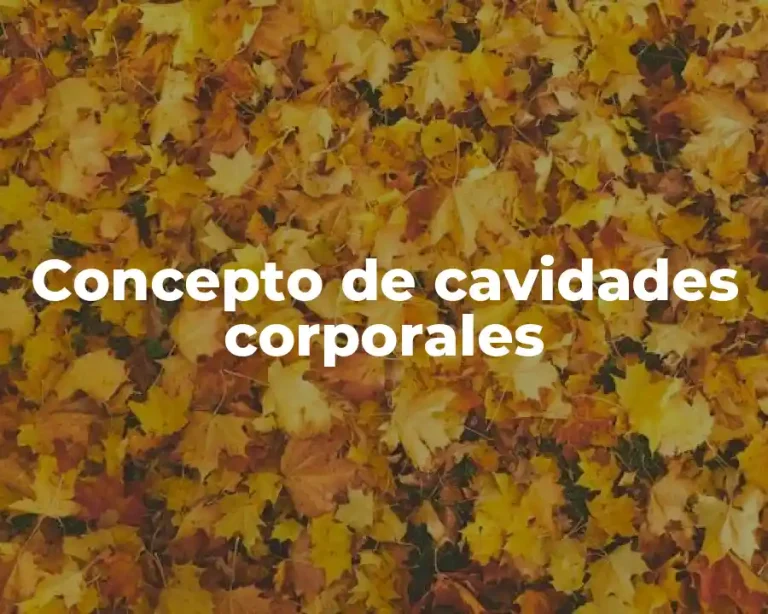 Concepto de cavidades corporales