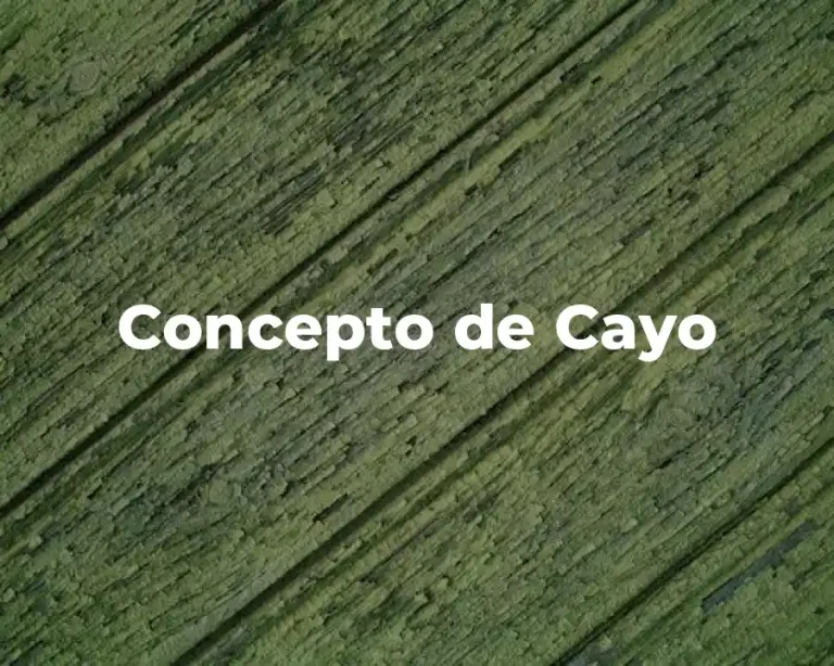 Concepto de Cayo