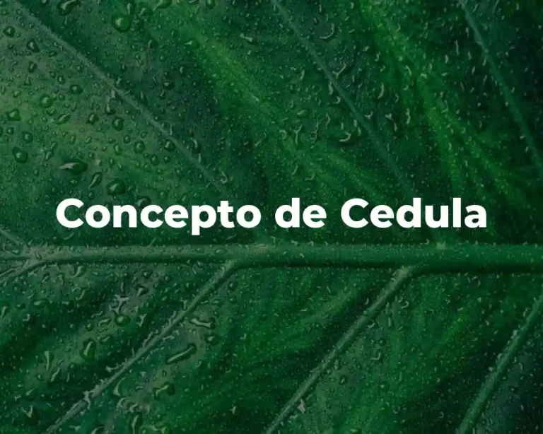 Concepto de Cedula