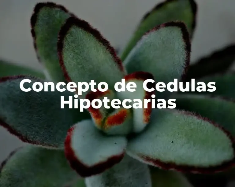 Concepto de Cedulas Hipotecarias