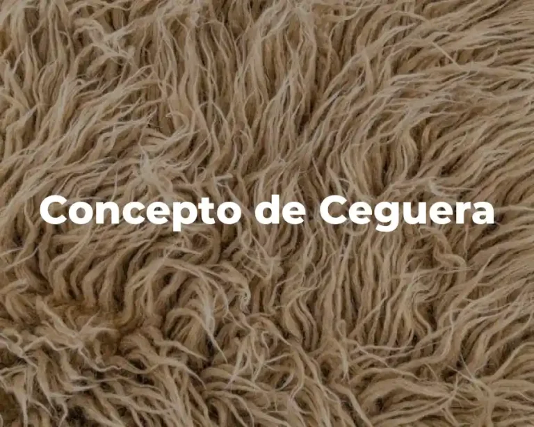 Concepto de Ceguera