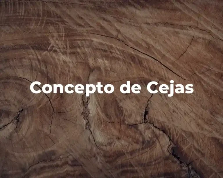 Concepto de Cejas