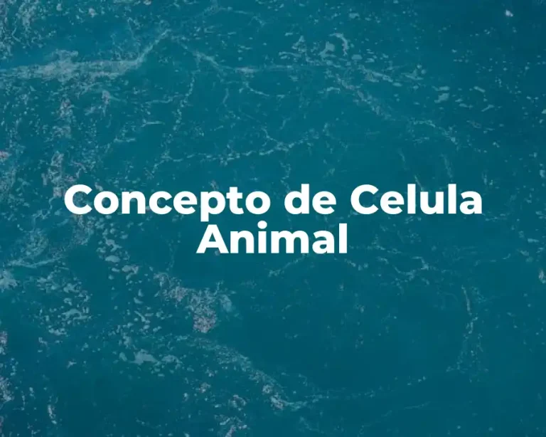Concepto de Celula Animal