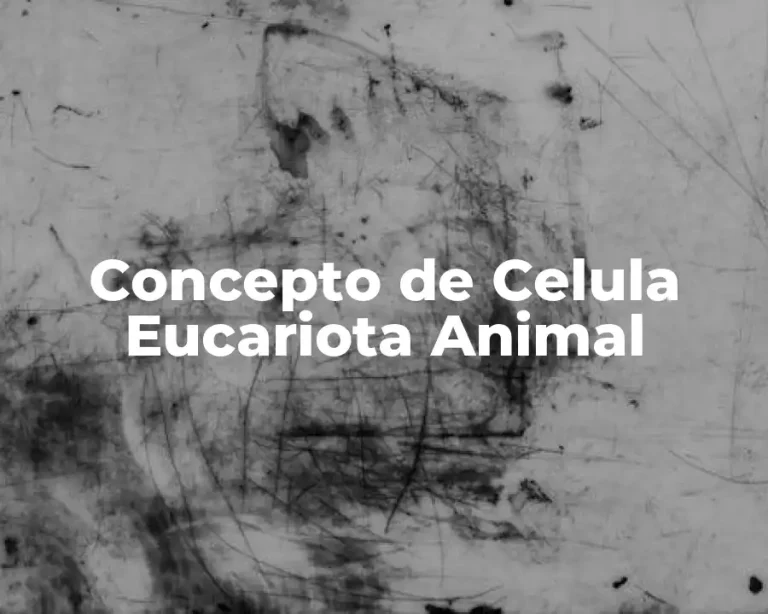 Concepto de Celula Eucariota Animal
