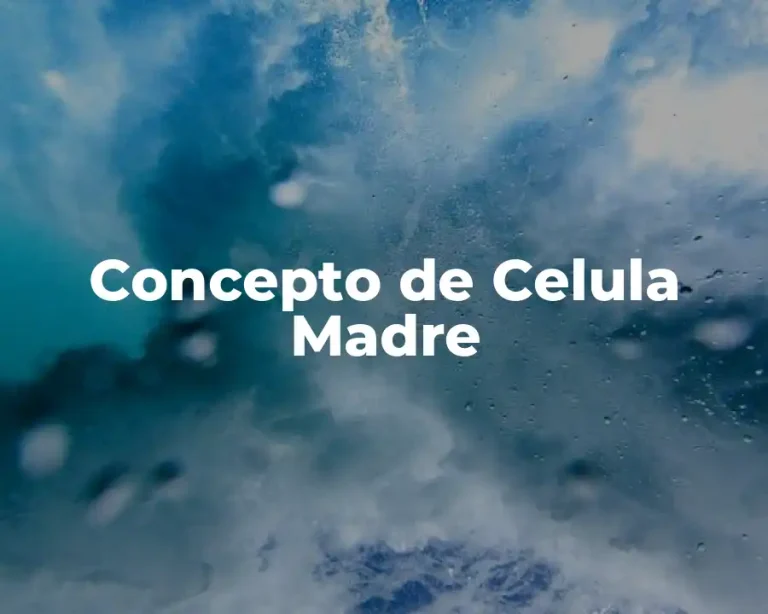Concepto de Celula Madre