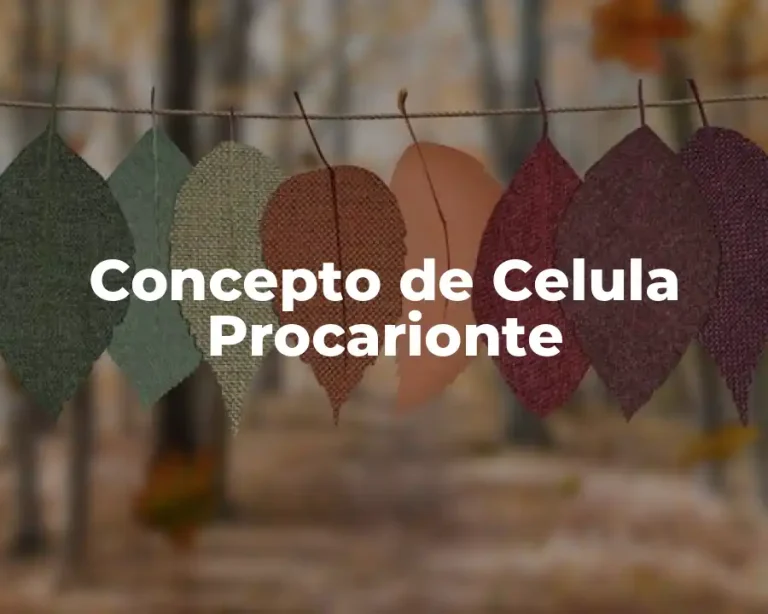 Concepto de Celula Procarionte
