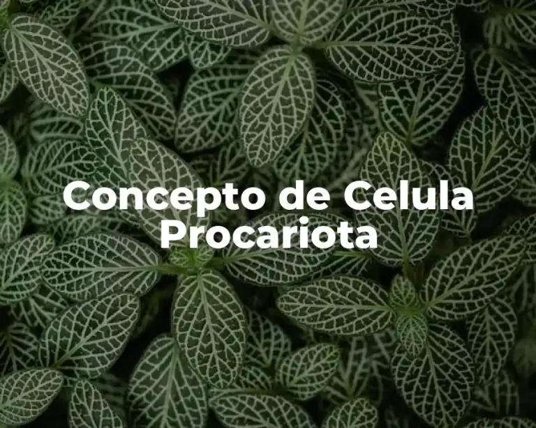 Concepto de Celula Procariota
