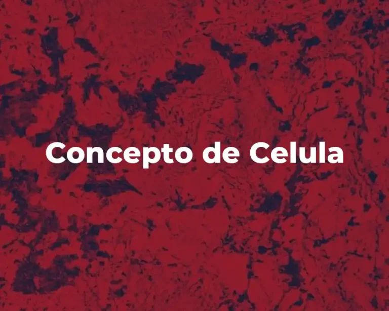 Concepto de Celula