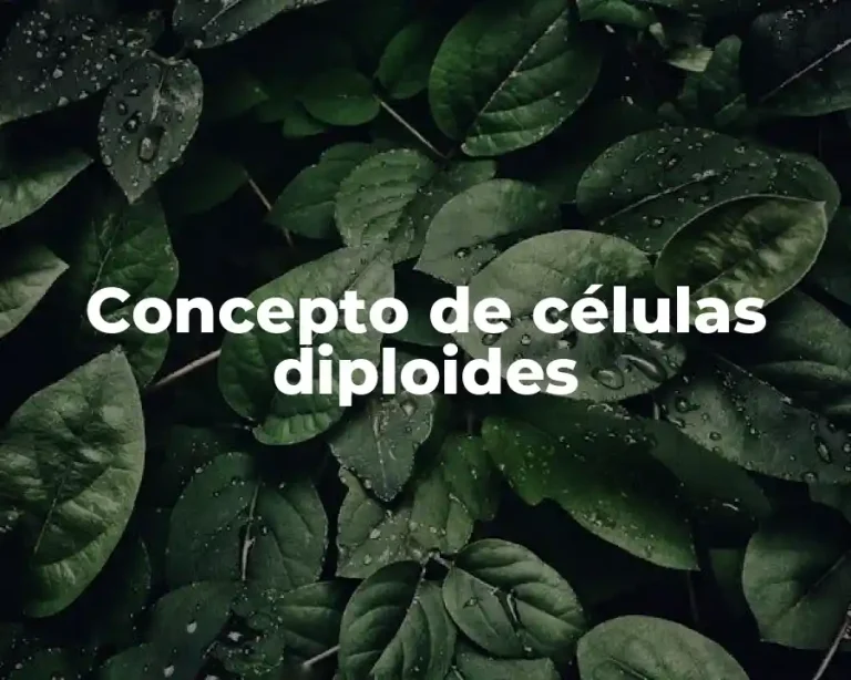 Concepto de células diploides