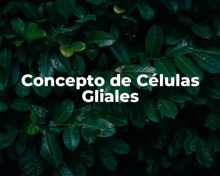 Concepto de Células Gliales