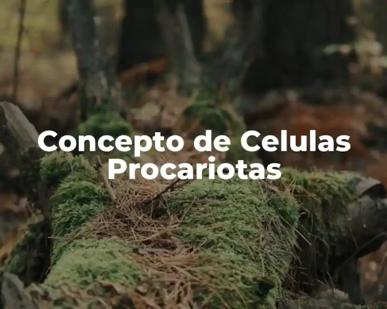 Concepto de Celulas Procariotas