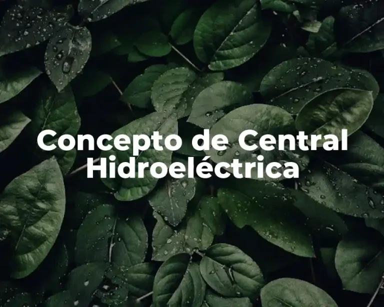 Concepto de Central Hidroeléctrica