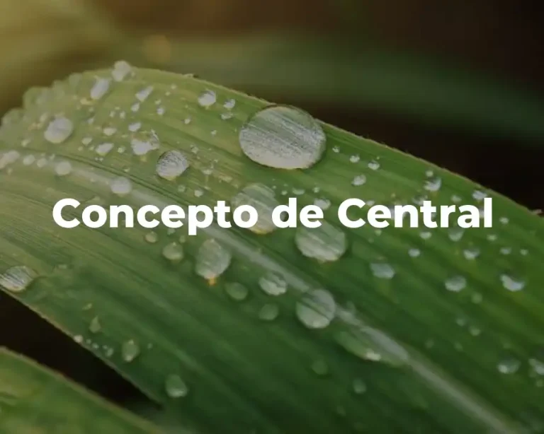 Concepto de Central