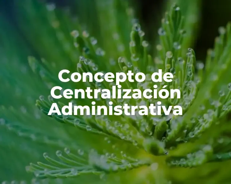 Concepto de Centralización Administrativa