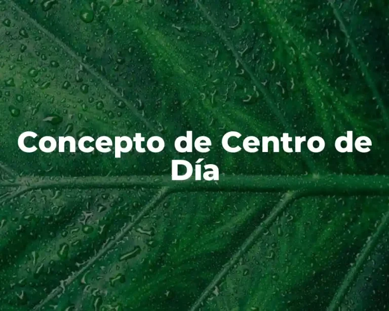 Concepto de Centro de Día