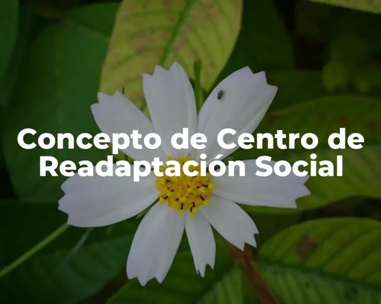 Concepto de Centro de Readaptación Social