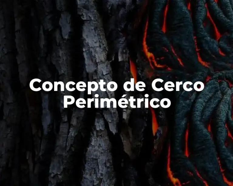 Concepto de Cerco Perimétrico