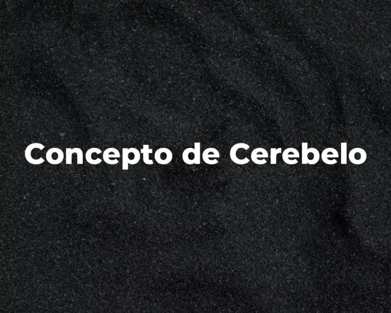 Concepto de Cerebelo