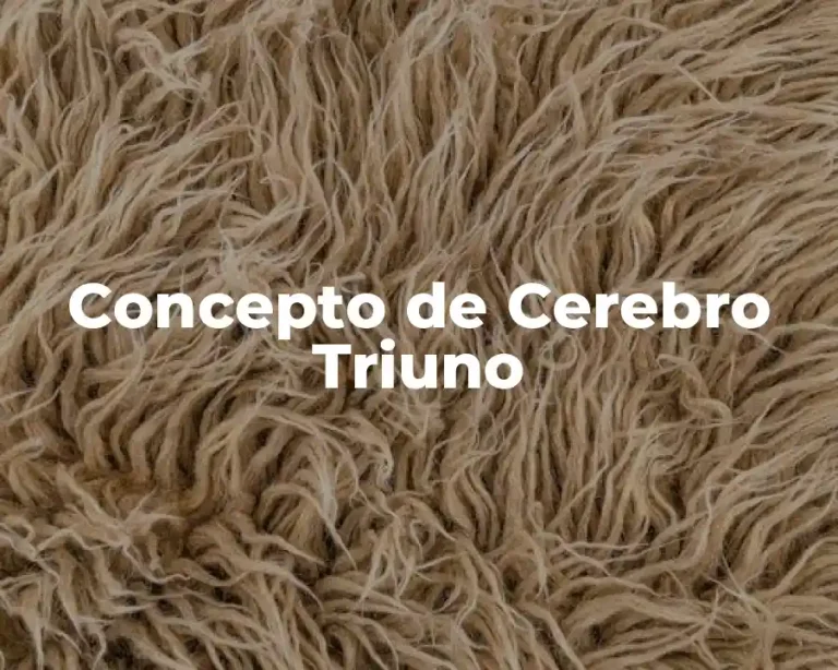 Concepto de Cerebro Triuno