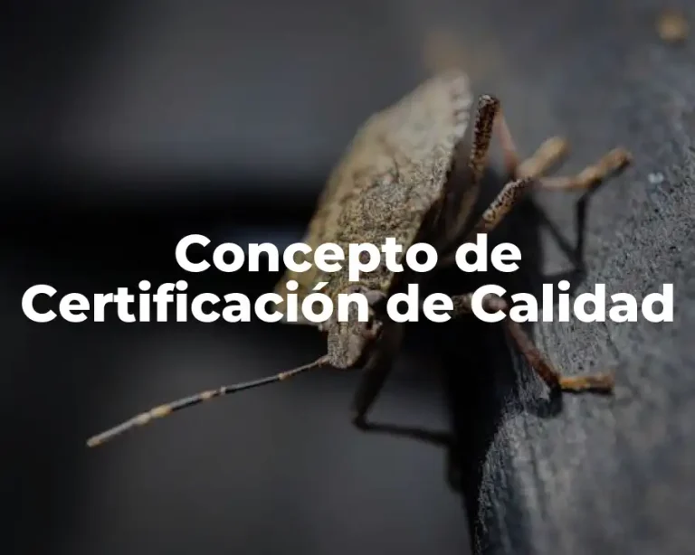 Concepto de Certificación de Calidad