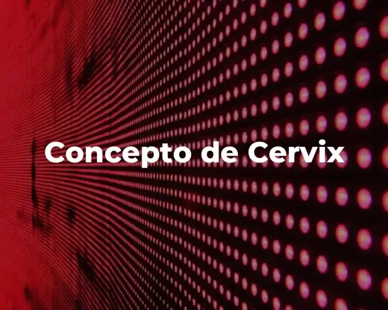 Concepto de Cervix
