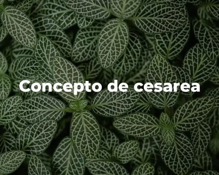 Concepto de cesarea