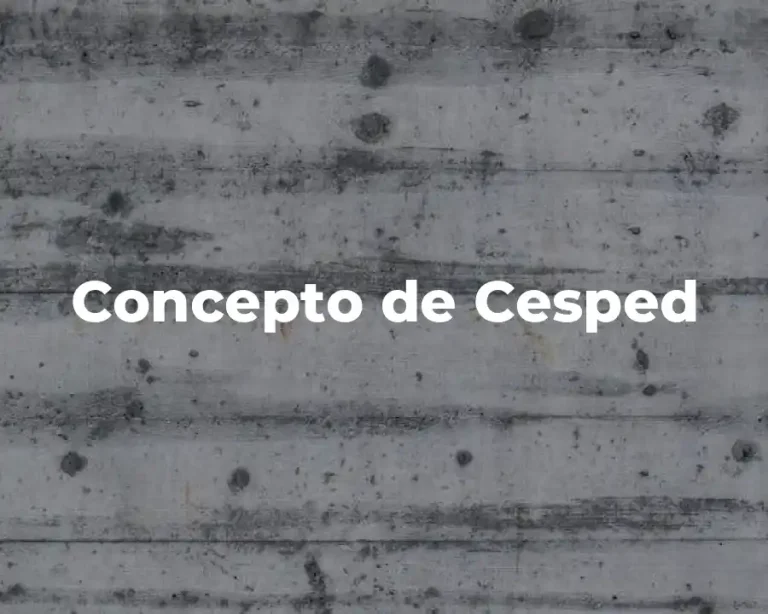 Concepto de Cesped