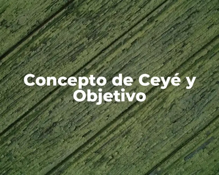 Concepto de Ceyé y Objetivo
