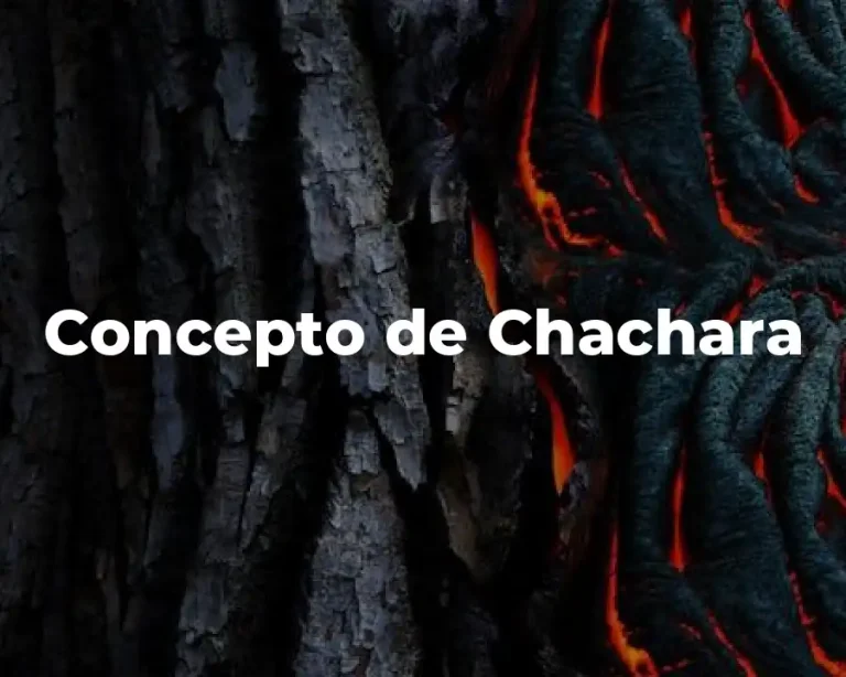 Concepto de Chachara