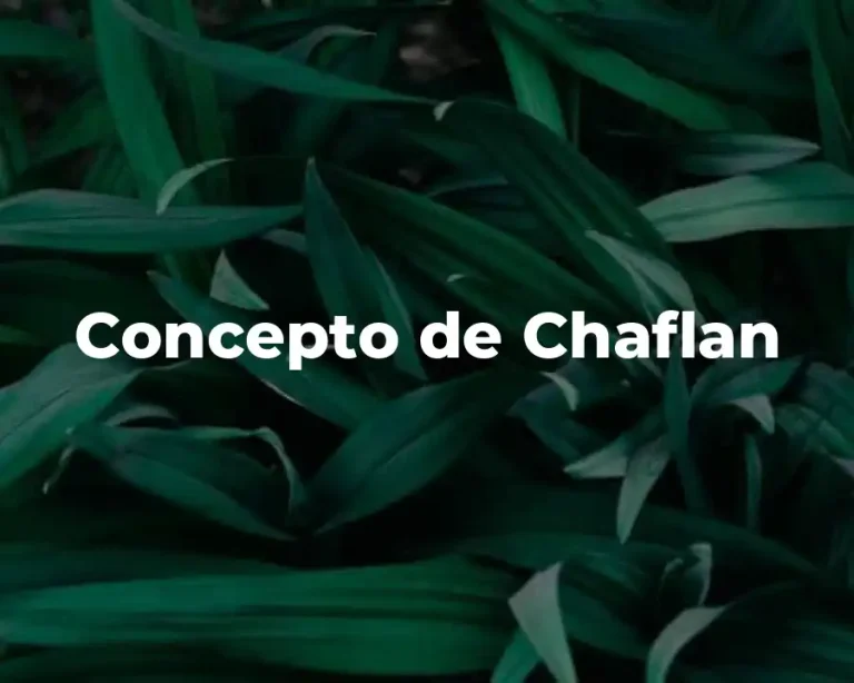Concepto de Chaflan