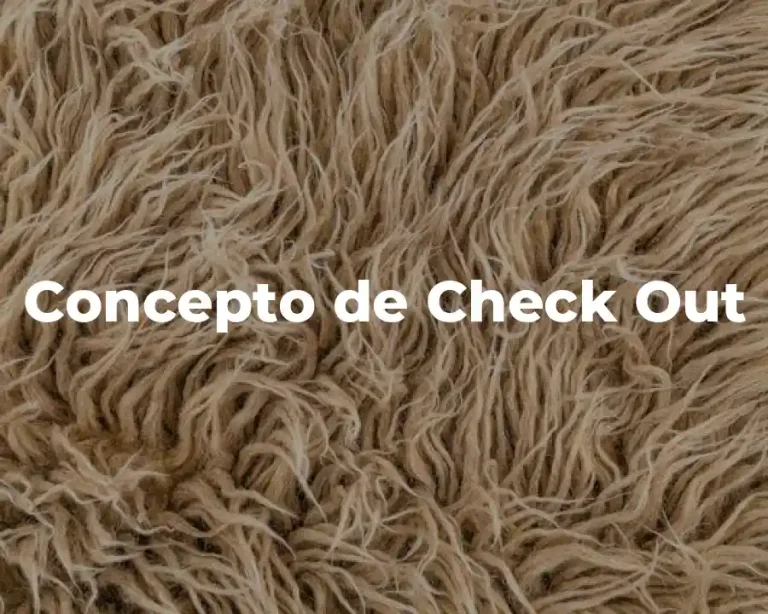 Concepto de Check Out